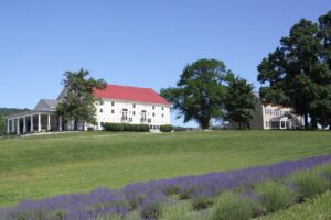 white wine tasting room with red roof