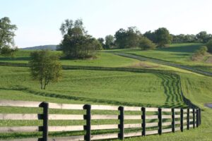 farmland with wooden fence