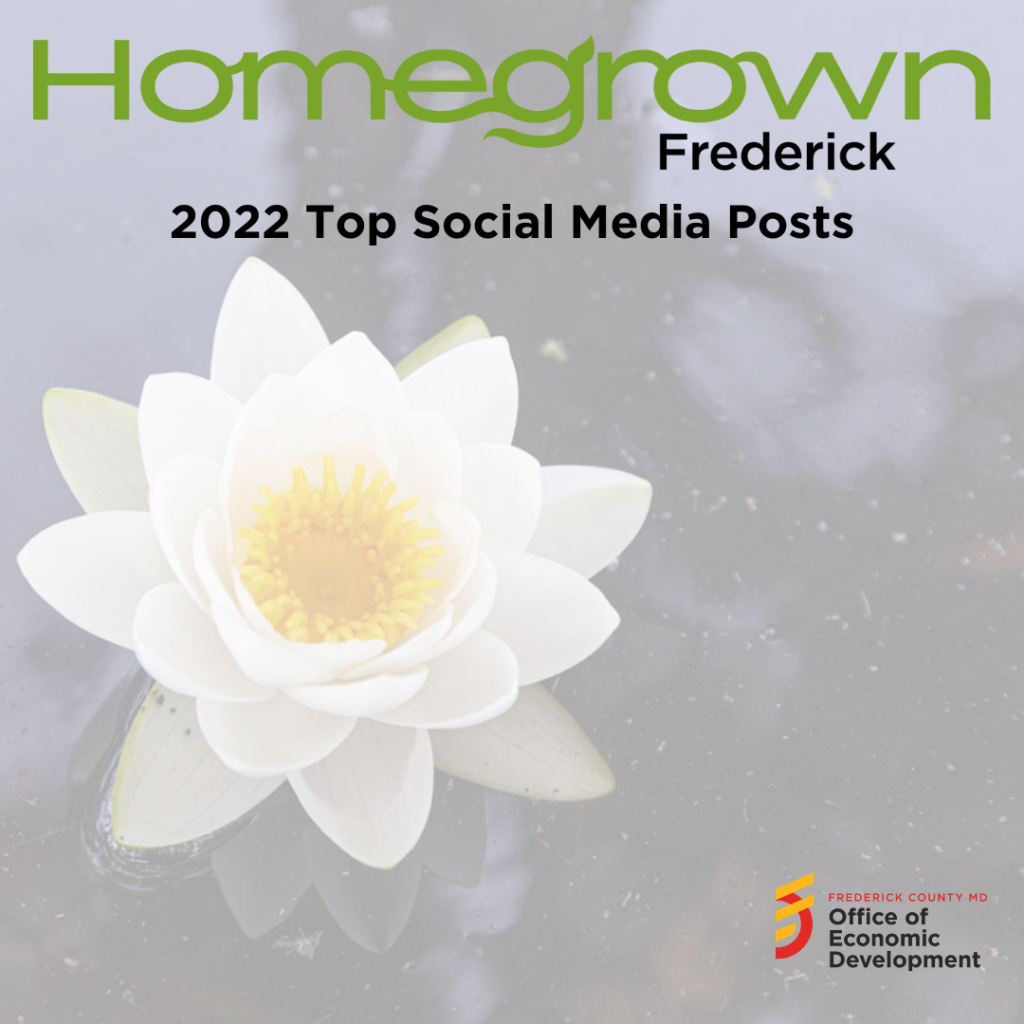 Homegrown Top Social Media