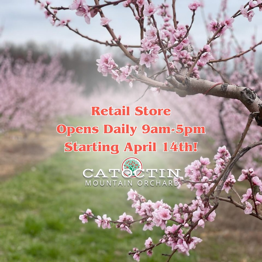 Catoctin Mountain Orchard Opening Day