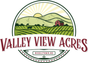 valley view logo