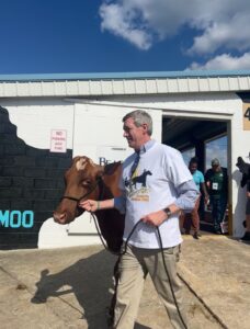 Secretary Atticks walking a cow