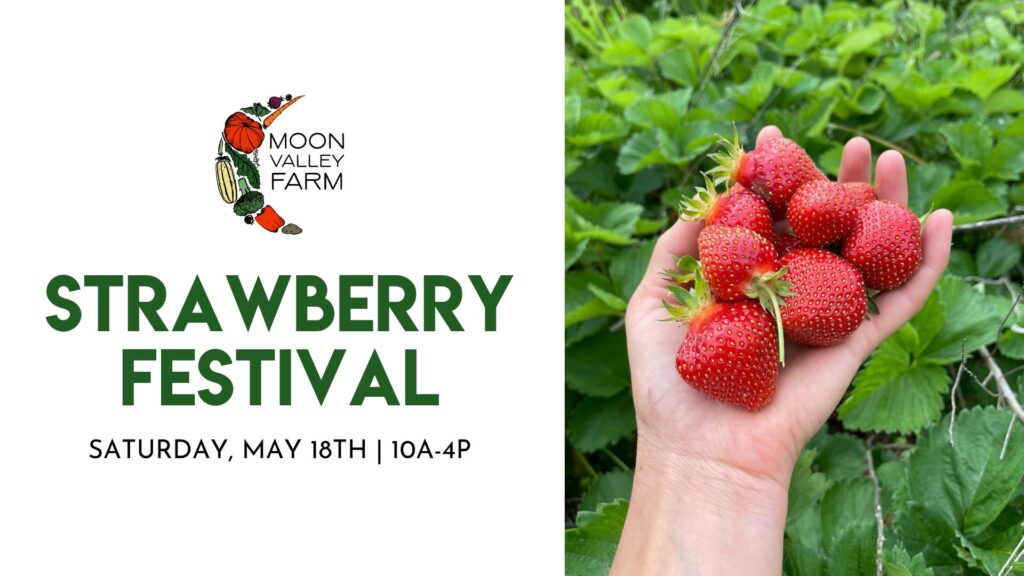 Strawberry festival flyer