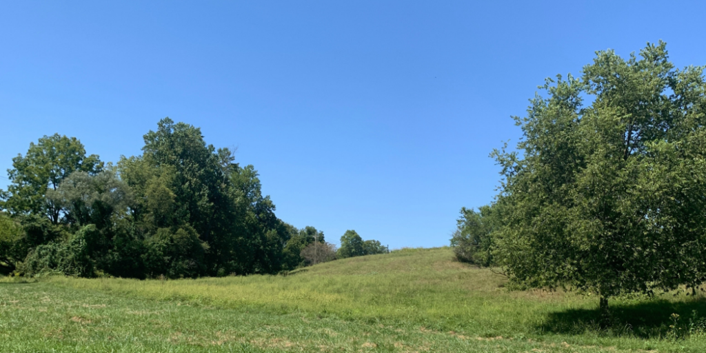 landscape of farm