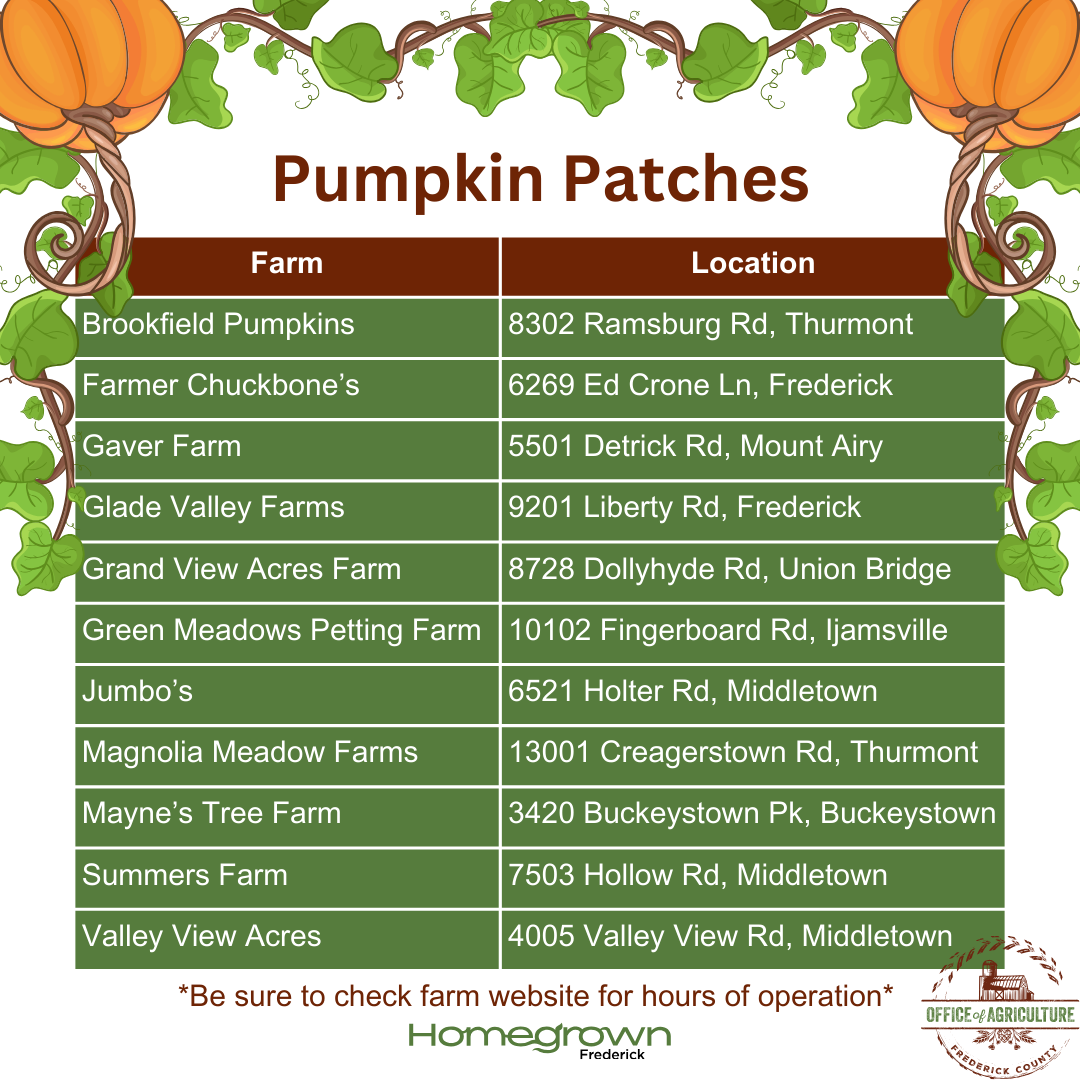 List of Frederick County Pumpkin patches with pumpkin imagery