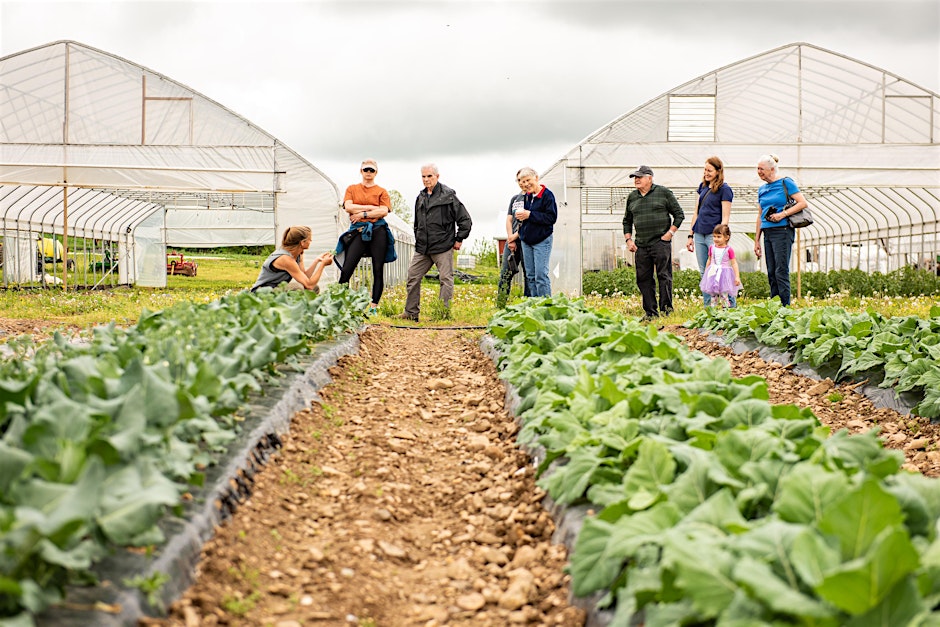 group of individuals on a farm inspecting vegetables