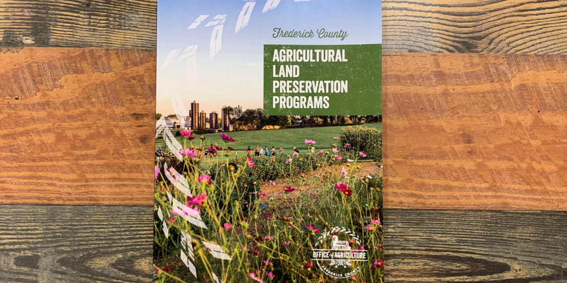 Agriculture pamphlet with flower field