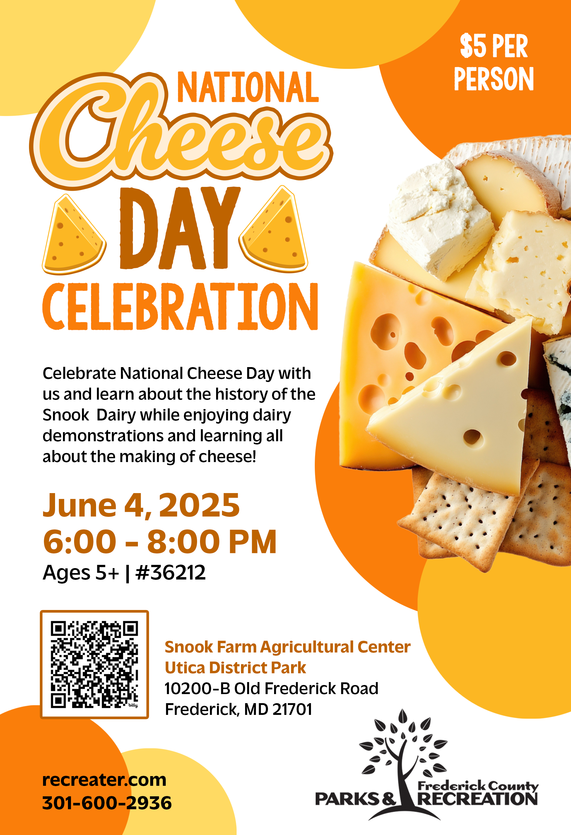 flyer for cheese day celebration. Yellow and orange cheeses
