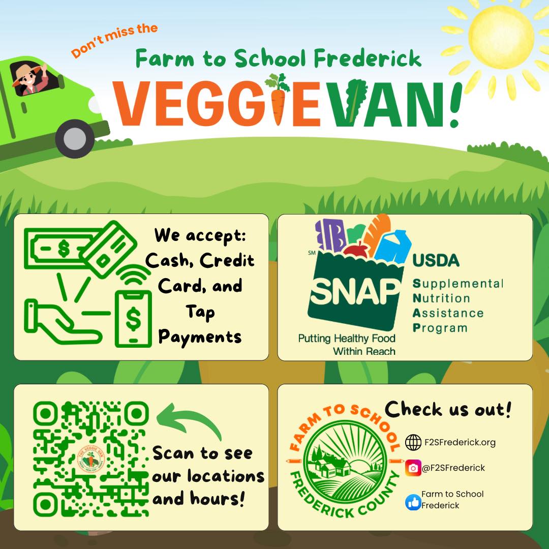 Bright Colored Flyer for Veggie Van