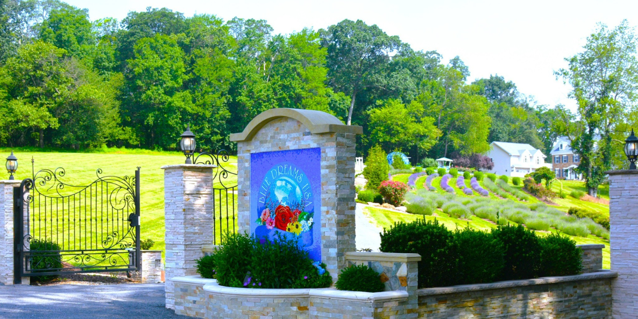 Blue Dreams farm sign with lavender and house in background