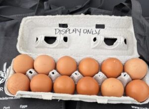 carton of brown eggs