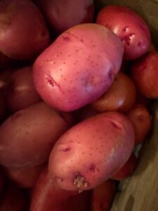 red skin potatoes