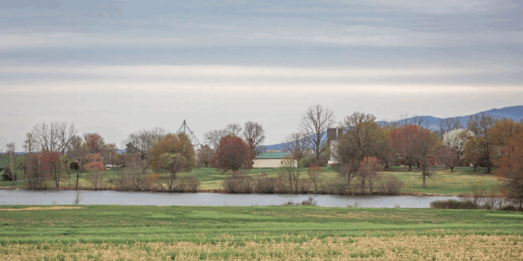 Farm Landscape- grass a pond, trees and blue sky