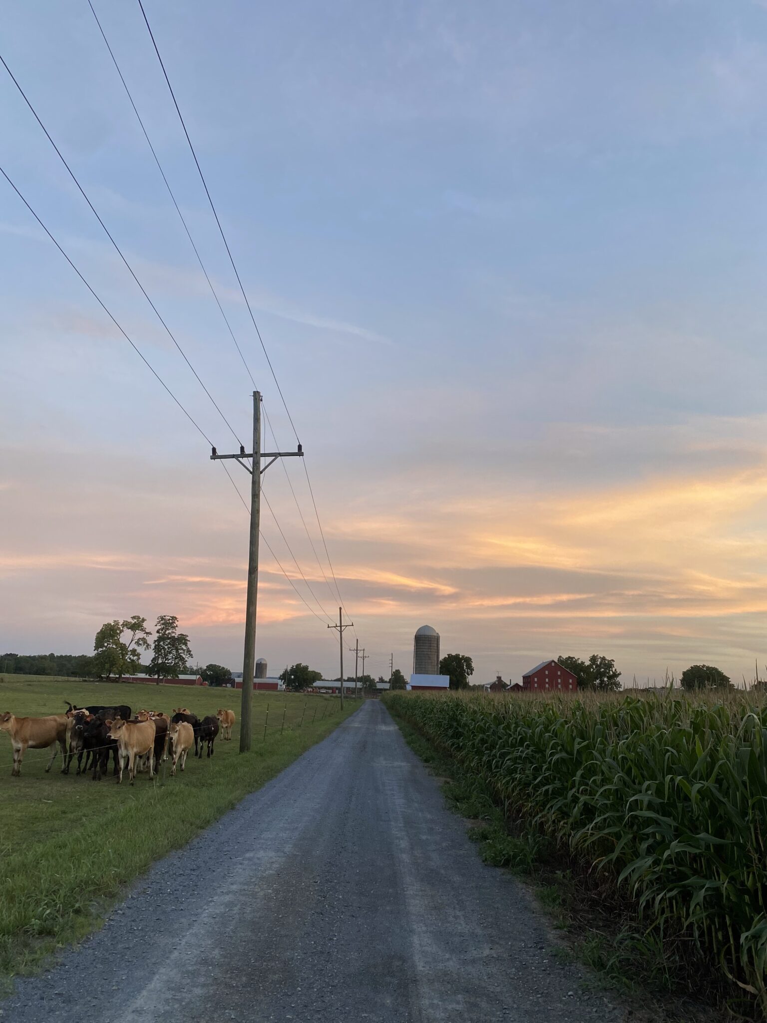 Rocky Glade Farms: A Legacy of Preservation Through the County’s ...