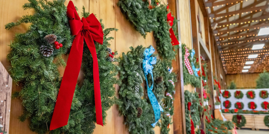 fresh wreaths hung on a wooden wall