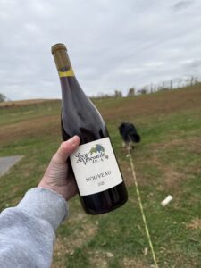 wine bottle at vineyard