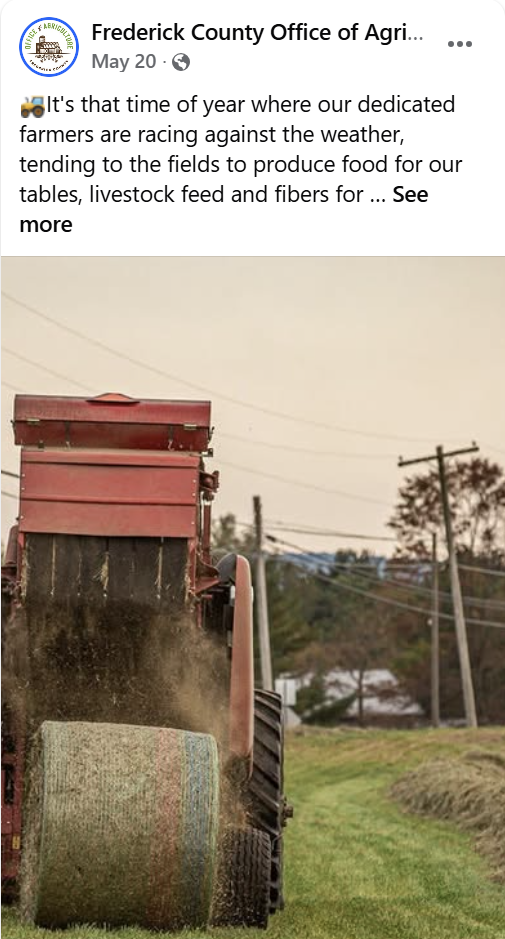 snip of social media post hay bale