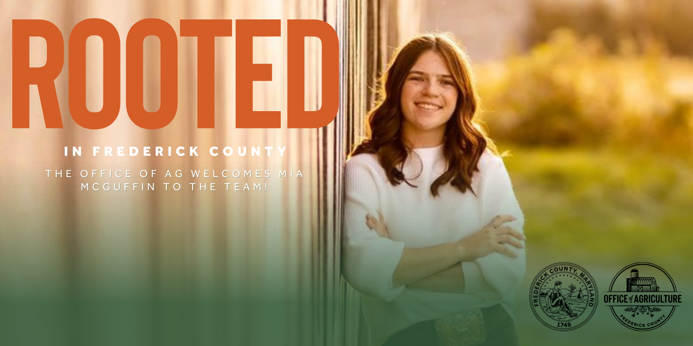 Woman standing by barn with a green transparent overlay