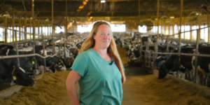 A picture of a women in a dairy cow barn