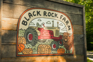 black rock farm, farm sign