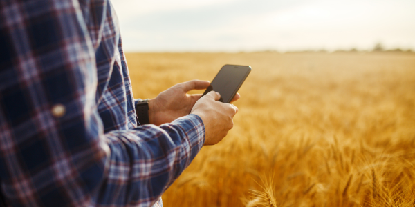 a farmer in a wheat field on their phone